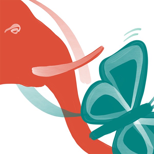 The Elephant & Butterfly